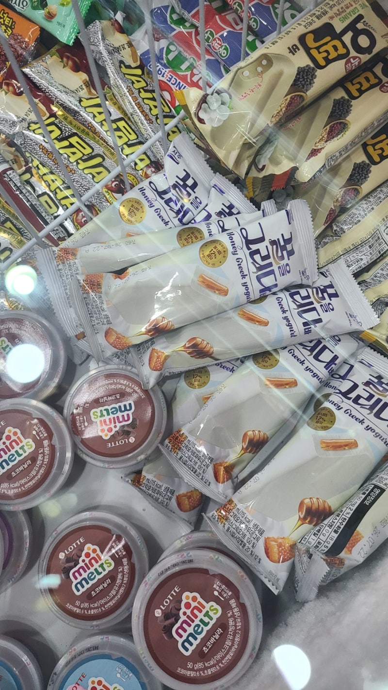 동분서주 여기저기 꿀같은 꿈을 그릭다