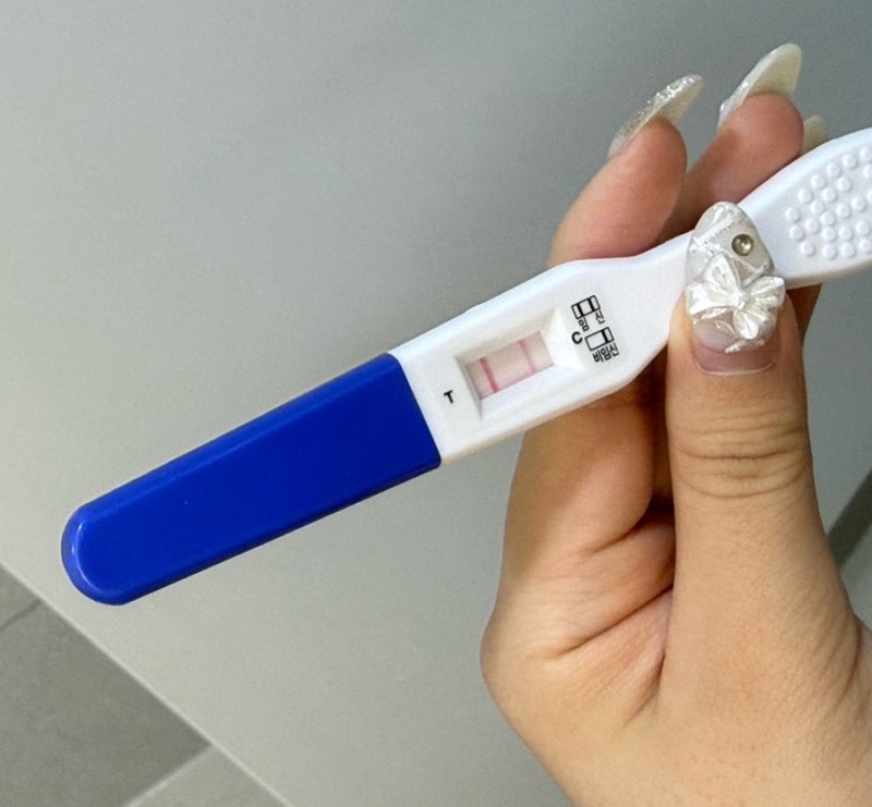 입덧 완화 꿀팁: 입덧약(디클렉틴)