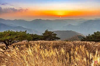 정선 민둥산 억새축제 2026 최단코스 시간 정리, 가기 전 꼭 확인할 것