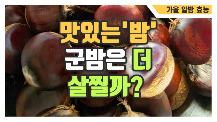 가을 밤 효능, 생밤·찐밤·군밤 영양이 다를까?