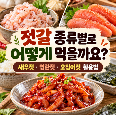 젓갈 종류별로 어떻게 먹을까요?｜새우젓·명란젓·오징어젓 활용법