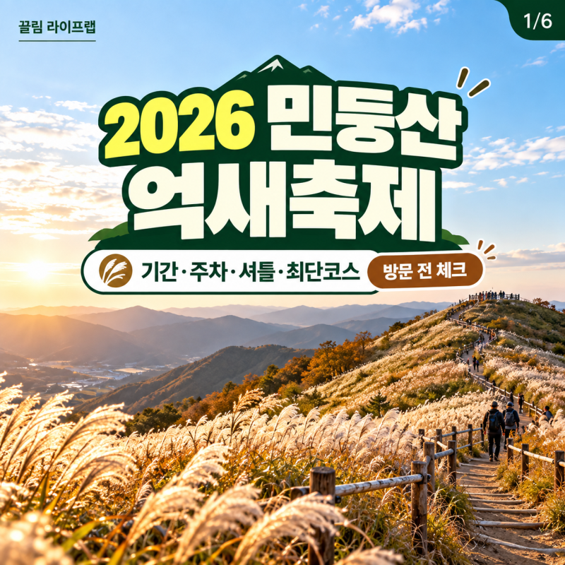 2026 민둥산 억새축제 기간 언제까지? 주차 셔틀버스 최단코스