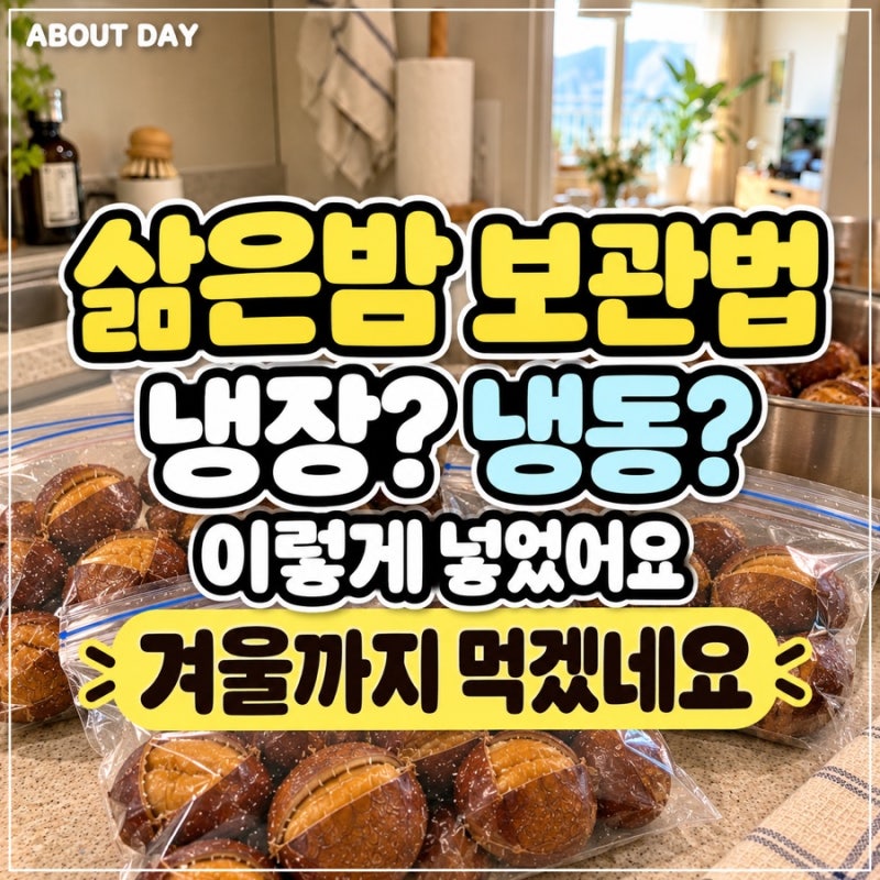 삶은밤 보관법 냉동, 냉장? “이렇게 넣어두면 겨울까지 먹겠네요” 한번 삶고 바로 한 일
