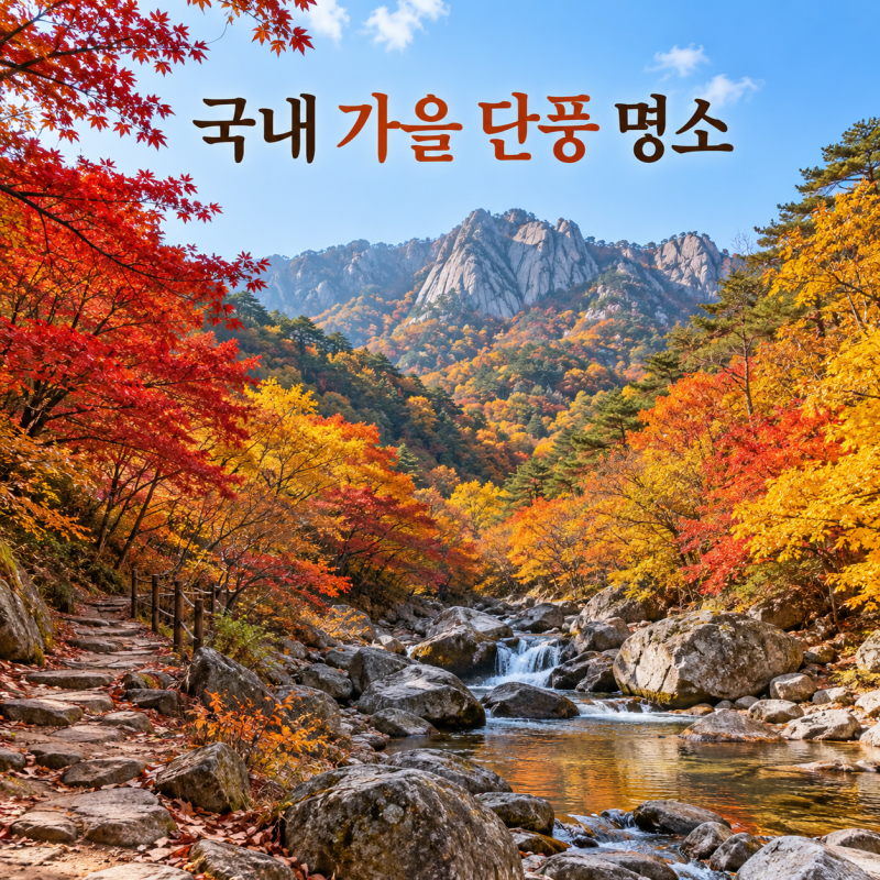 2026 국내 가을 단풍 명소 5곳, 지역별 절정 시기와 걷기 코스