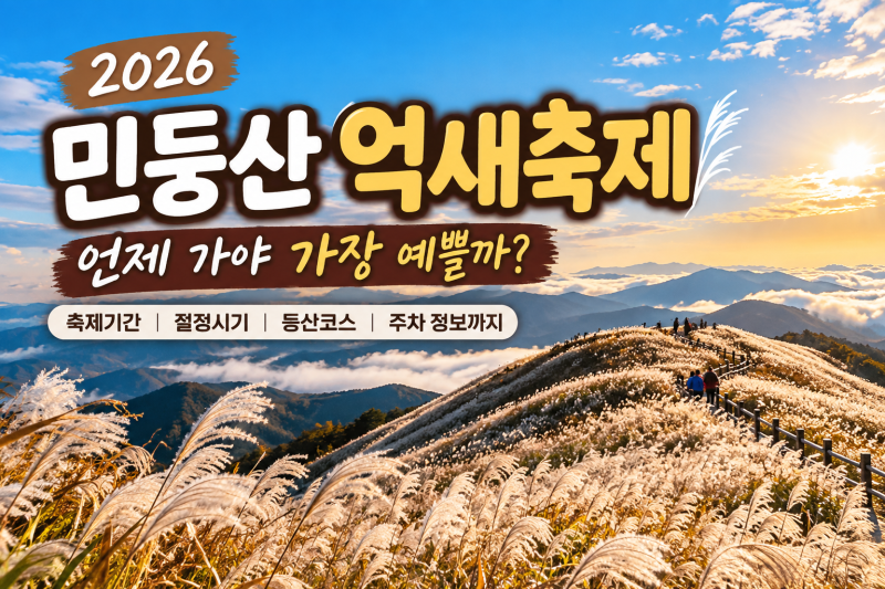 2026 민둥산 억새축제 지금 가볼까?｜억새 절정시기·등산코스·주차 총정리