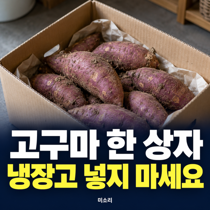 고구마 보관법, 생고구마는 냉장고보다 온도와 통풍을 확인하세요