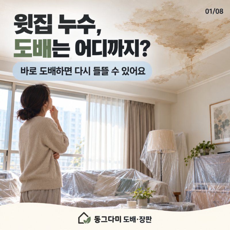 윗집 누수, 도배는 어디까지 해야 할까요? 누수 도배 전 확인사항