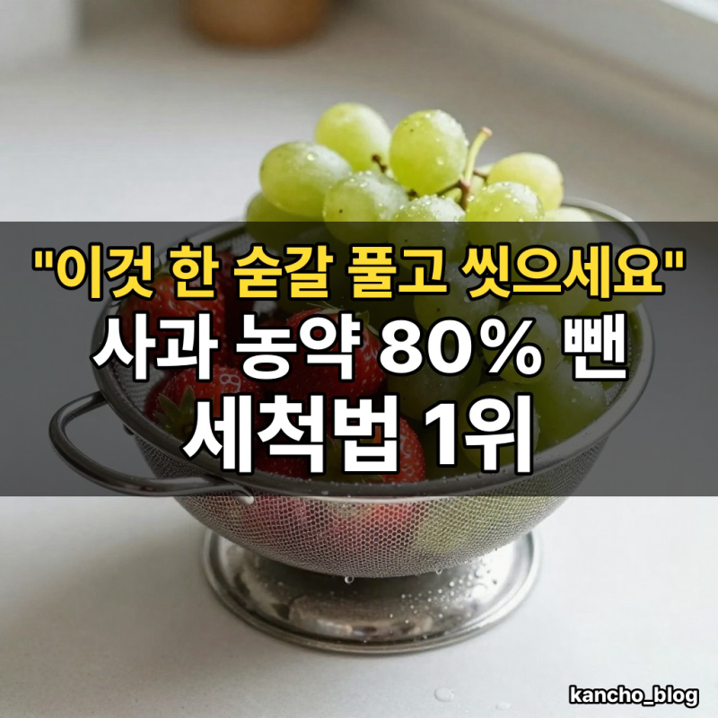 "이것 한 숟갈 풀고 씻으세요" 사과 농약 80% 뺀 세척법 1위｜과일 씻는 법