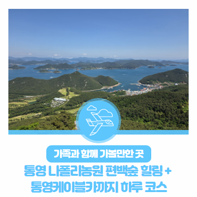 Family-Friendly Day Trip: Healing at Tongyeong Napoli Farm Cypress Forest + Tongyeong Cable Car