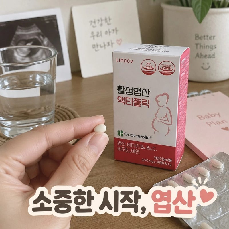 리노브 4세대 활성엽산 액티폴릭 6개월분 임신준비 임산부 비교 정리