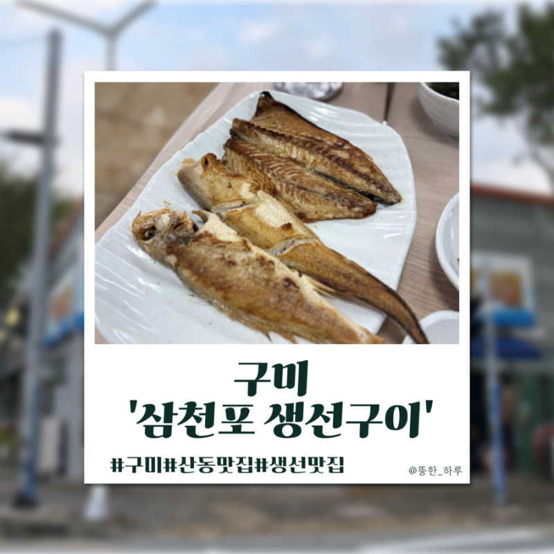 [구미]산동맛집 ‘삼천포 생선구이’ㅣ직장인 점심으로 좋은 모듬생선구이