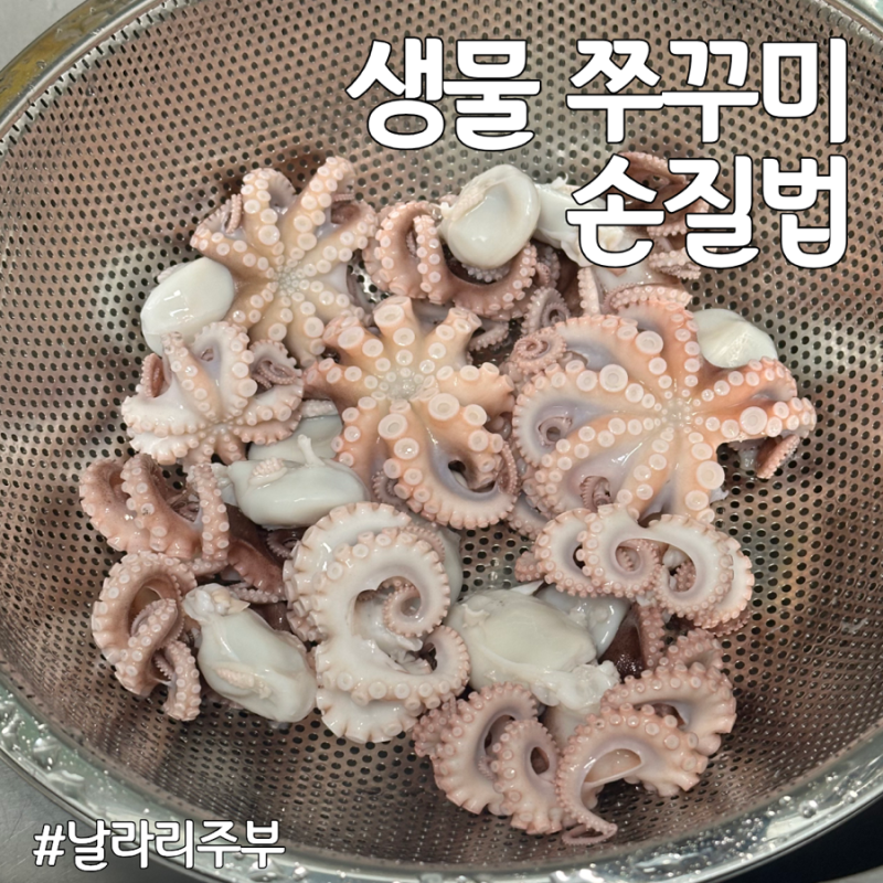낚시 쭈꾸미 손질법｜안씻고 냉동했다가 다음 날 손질해봤어요
