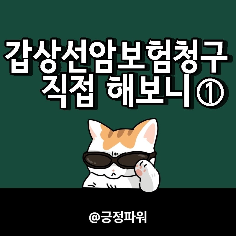 갑상선암 진단 후 보험금 청구, 직접 확인하고 준비한 것들