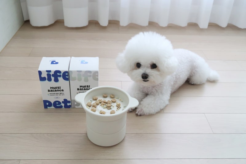 강아지 종합영양제, 반려동물을 위해 챙겨봤어요