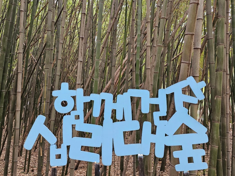 산책하기 좋은 태화강국가정원 십리대숲