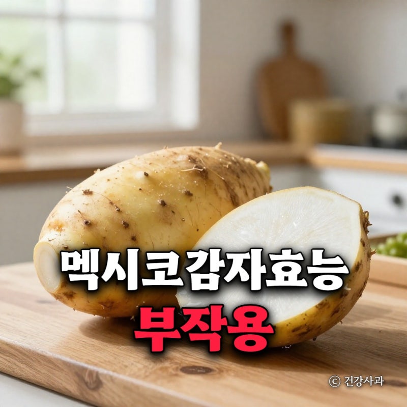 멕시코감자 효능과 부작용, 올바른 먹는법과 보관법