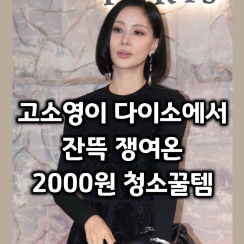 고소영이 다이소에서 쓸어 담아온 2천원 청소꿀템 방충망 유리 청소 겁나 잘됨