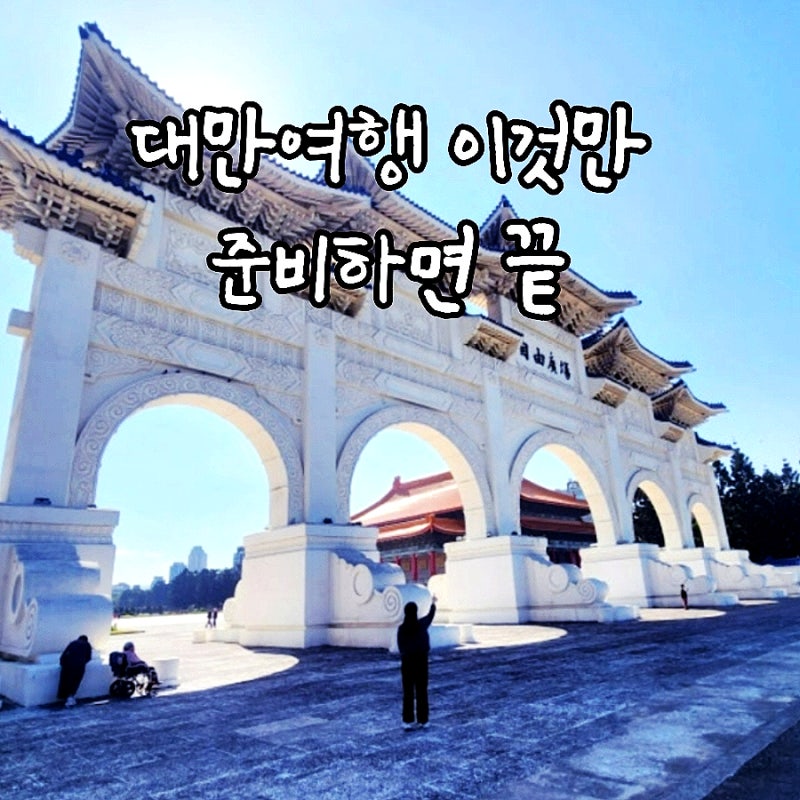 대만여행 준비물 유심 eSIM 추천｜타이베이 사용후기