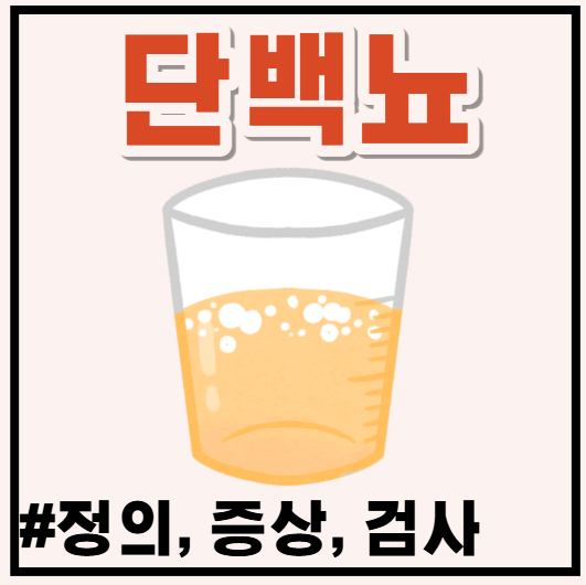 단백뇨 증상, 신장질환 신호일까?