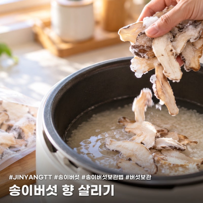 송이버섯 보관할 때 물로 씻으면 안 되는 이유, 향 살리는 보관법