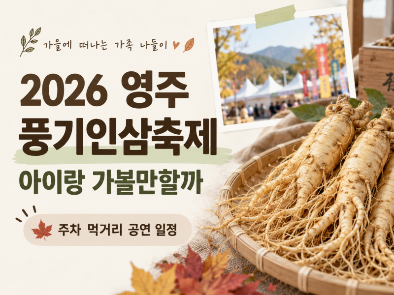 2026 영주 풍기인삼축제 일정 주차 먹거리 아이랑 가볼만할까