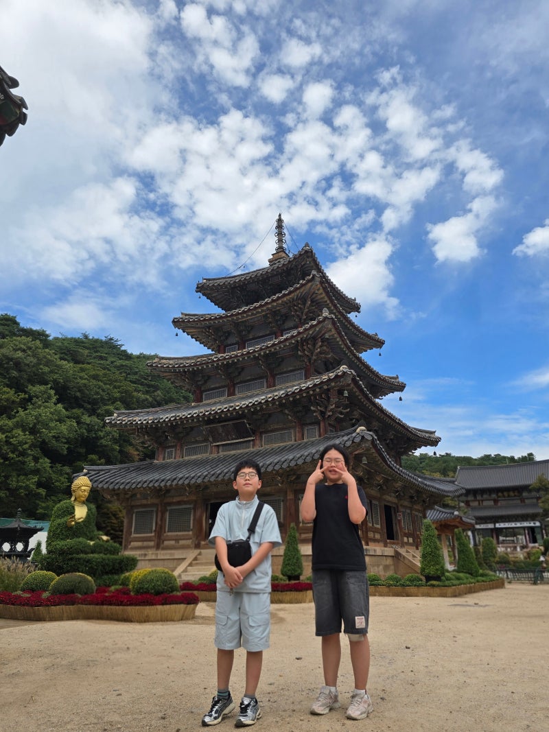 충북 보은 / 속리산 법주사, 문화관광해설사와 팔상전·쌍사자석등·금동미륵대불까지 국보 ....