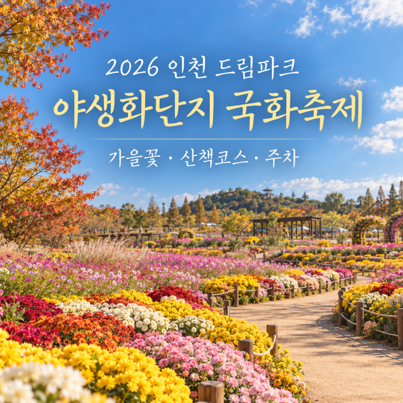 2026 Incheon Dream Park Wildflower Complex Chrysanthemum Festival: Schedule, Autumn Flowers, Free Parking, and Walking Course Guide