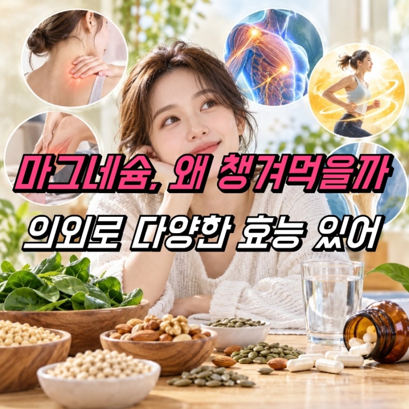 마그네슘 효능 부족 증상, 영양제 복용법 하루권장량