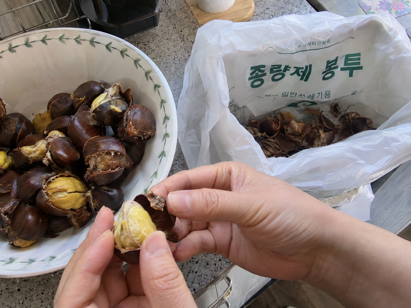 밤껍질 버리는법, 이거 음쓰인가요 일쓰인가요
