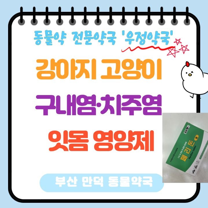 [부산동물약국] 강아지 고양이 구내염·치주염 잇몸 영양제 '페리돈정' (feat 항생제 차이, 장....