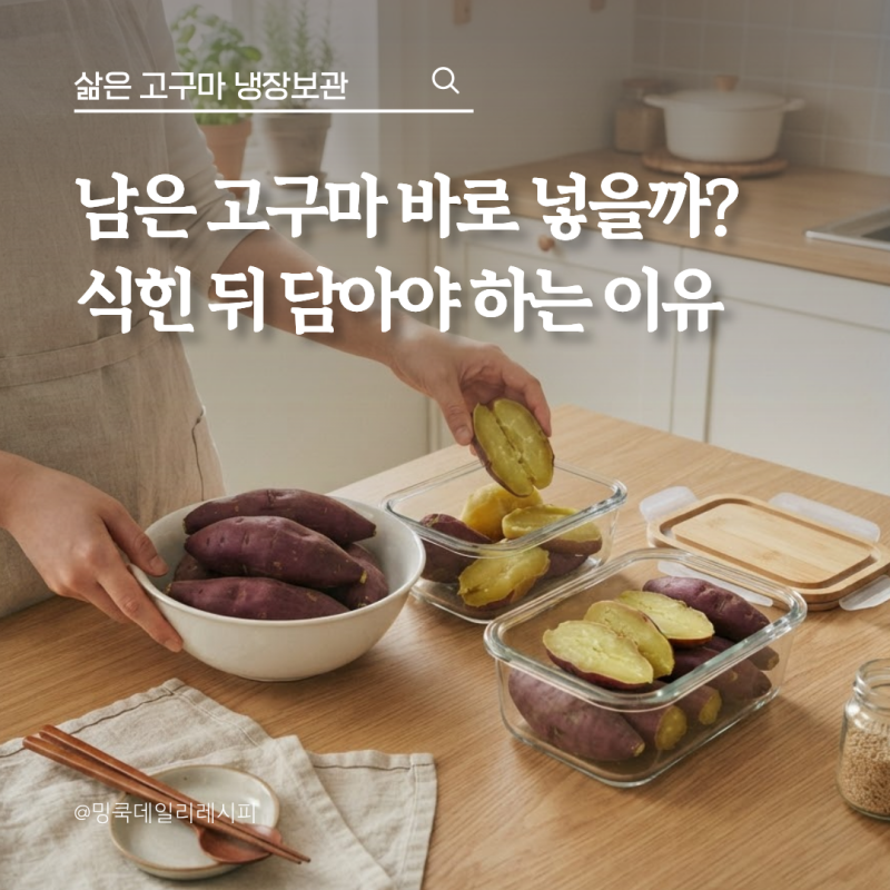 삶은 고구마 냉장보관 며칠? 식힌 뒤 담는 순서