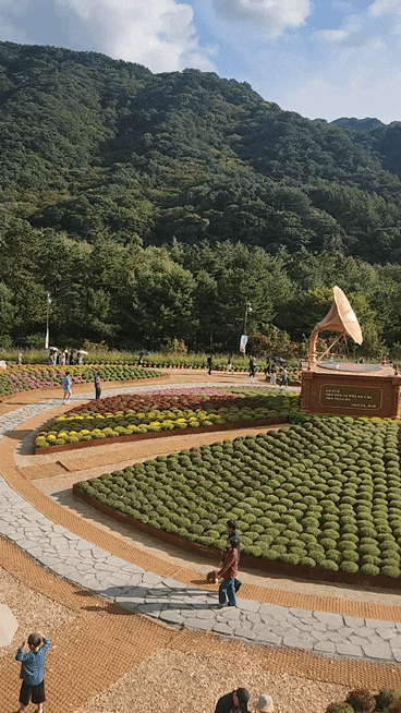 지역축제추천,강원도 가볼만한곳/ 2026년[인제 가을꽃축제]후기/ 프로그램·주차·입장료 총정....