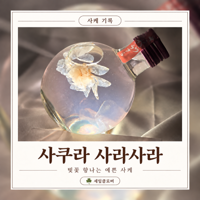 벚꽃사케 사쿠라 사라사라 후기｜선물하기 좋은 예쁜 벚꽃 술