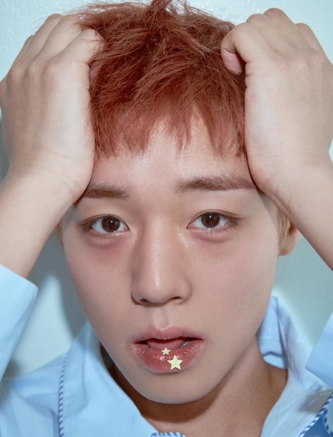 박지훈 부국제, 제35회 부일영화제 레드카펫 참석 확정 부산국제영화제 라인업 기대감