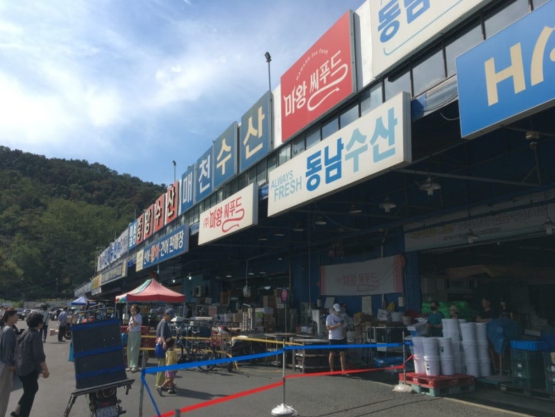 매천 수산 시장 생새우 & 꽃게