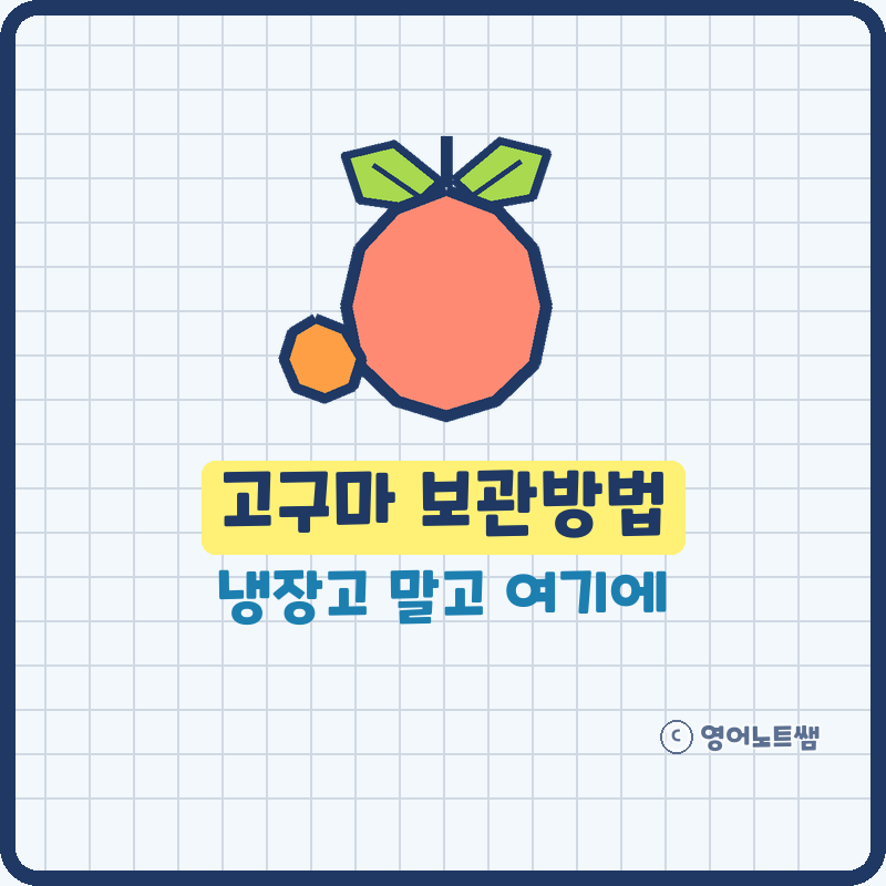 고구마 보관방법, 냉장고에 넣으면 안 되는 이유와 삶은 고구마 냉동 보관까지