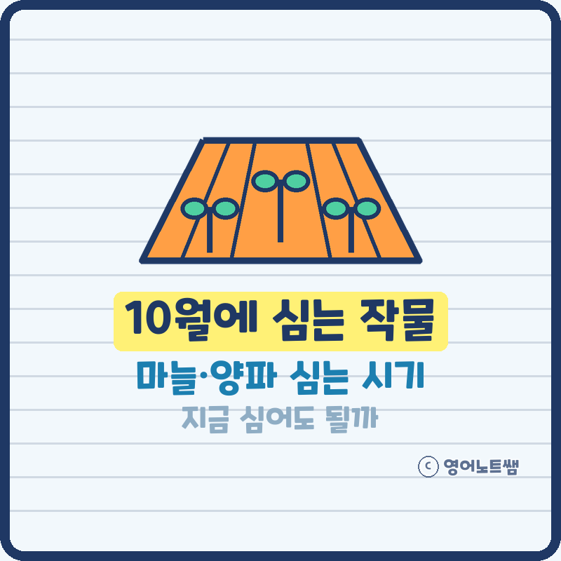10월에 심는 작물, 마늘 심는 시기 양파 심는 시기 지금 심어도 될까