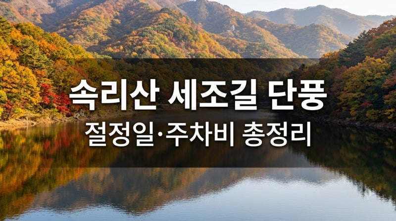 2026 보은 속리산 세조길 단풍 구경 법주사 절정일·주차비 총정리 (편도 2.4km 코스)