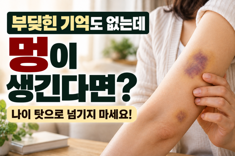 몸에 멍이 자주 생기는 이유 8가지｜부딪힌 기억도 없는데 멍이 든다면? 팔·다리에 원인 모....