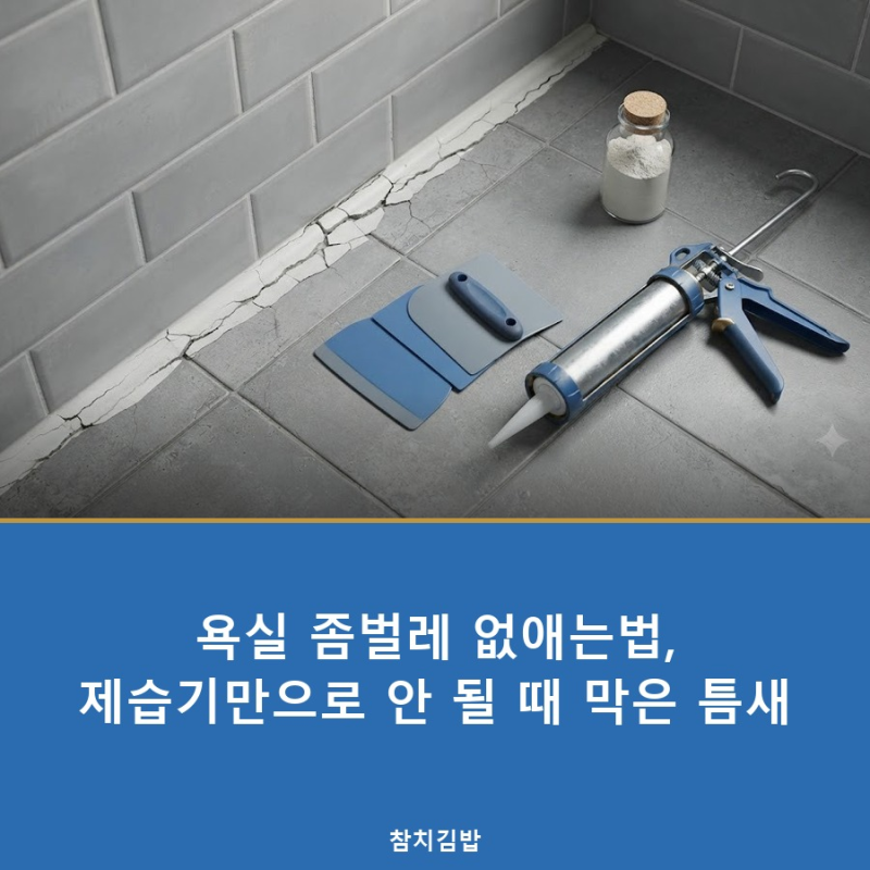 욕실 좀벌레 없애는법, 제습기만으로 안 될 때 막은 틈새