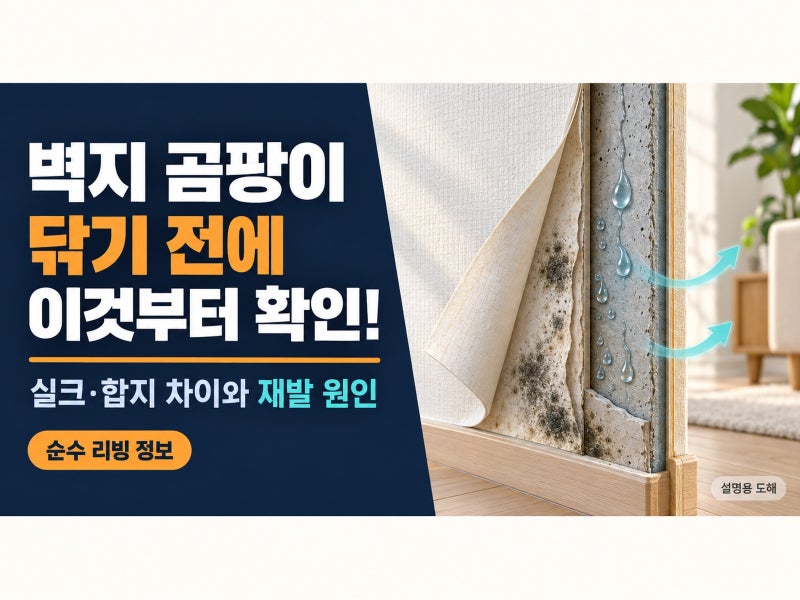 벽지 곰팡이 제거 방법｜실크·합지 차이와 닦아도 재발하는 이유