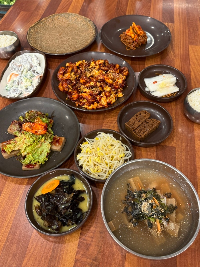 양주 애견동반식당 송추 도토리