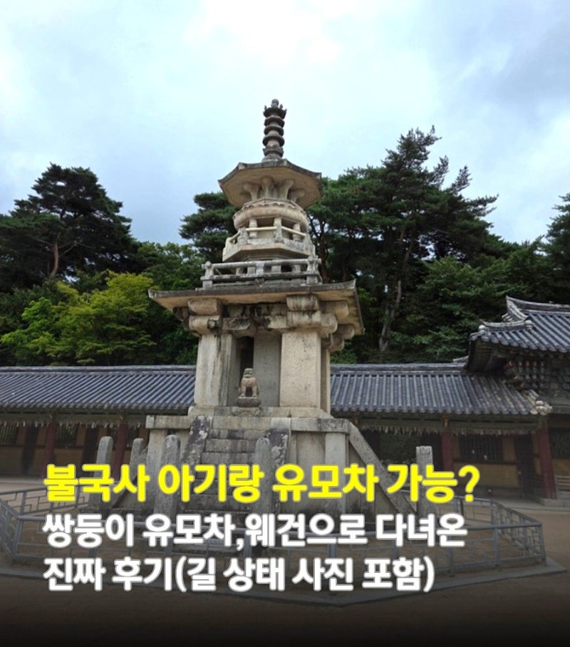 경주 불국사 유모차 웨건 가능할까? 가장 가까운 주차장 위치, 코스 꿀팁