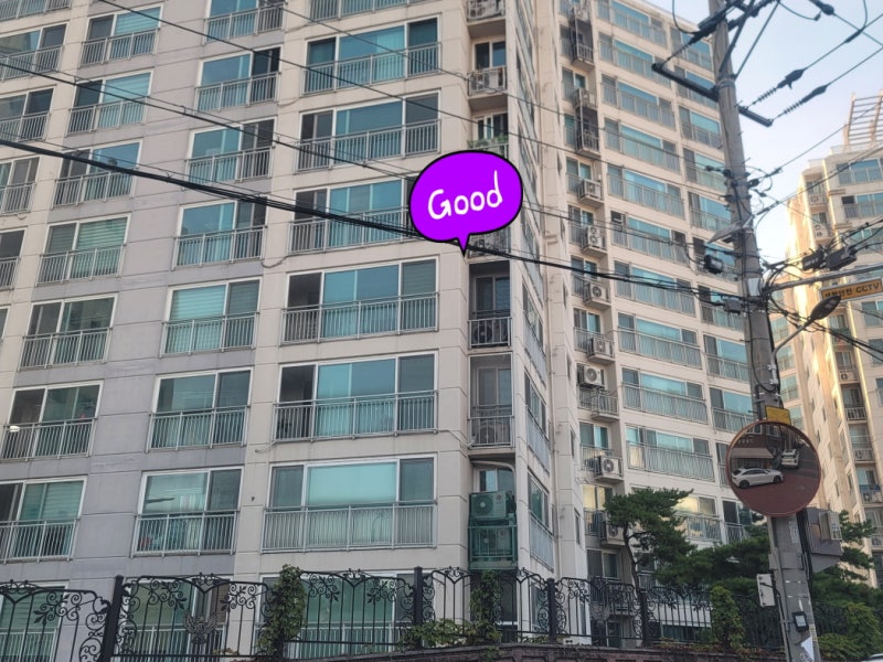대구 비둘기퇴치망 설치 유엘씨 이용 후기