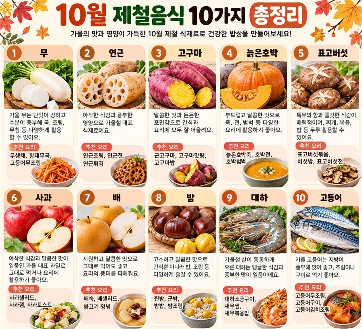 10월 제철 식재료 10가지 총정리 가을 제철음식 추천요리