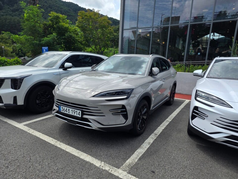 전기차 보조금 0원이라더니... BYD 씨라이언6 실구매가 봤더니