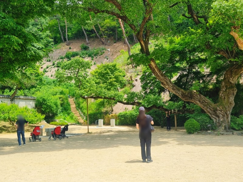 안동 10월 가볼만한곳 도산서원 입장료 한국의서원 고즈넉한 여행