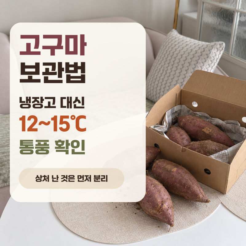 고구마 보관법, 베란다일까 냉장고일까?