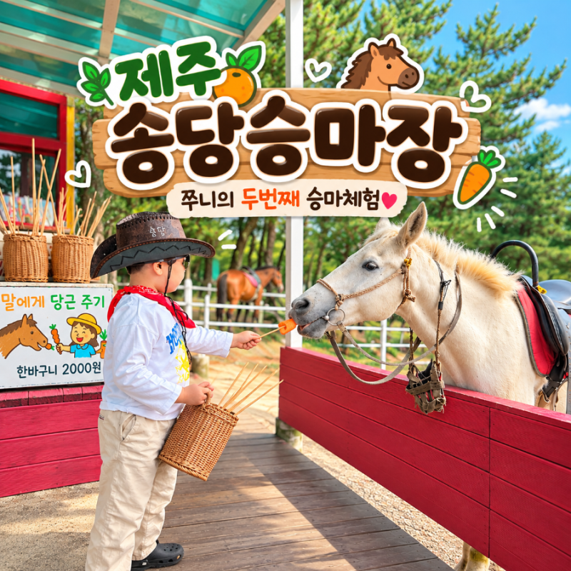 제주 아이와 가볼 만한 곳｜송당 승마장 두 번째 방문 ｜ 이번엔 목장 코스!
