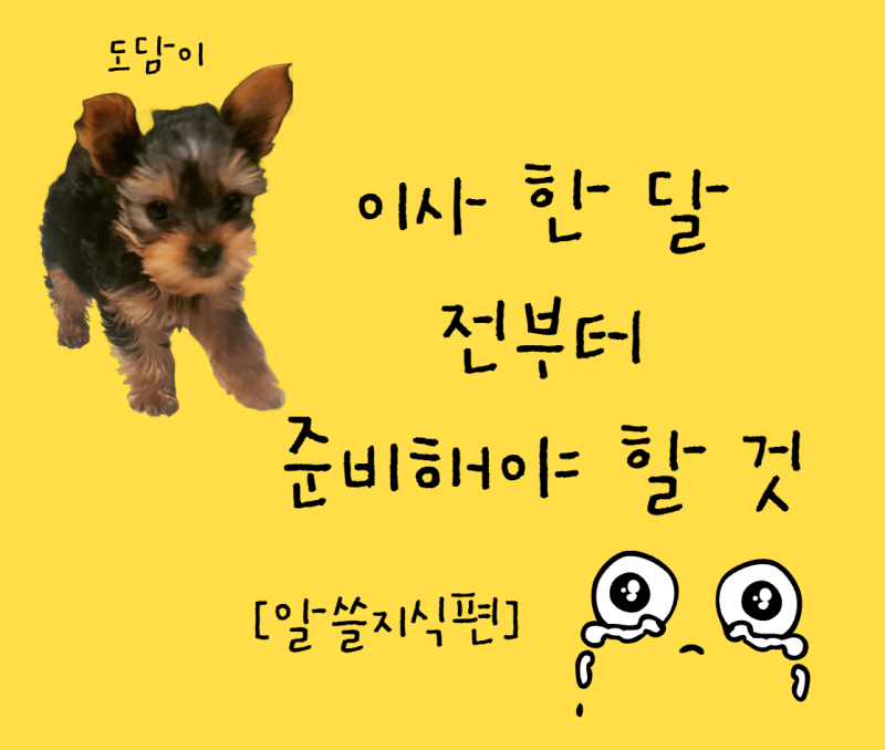 이사 한 달 전부터 준비해야 할 것｜이사 준비 체크리스트 총정리